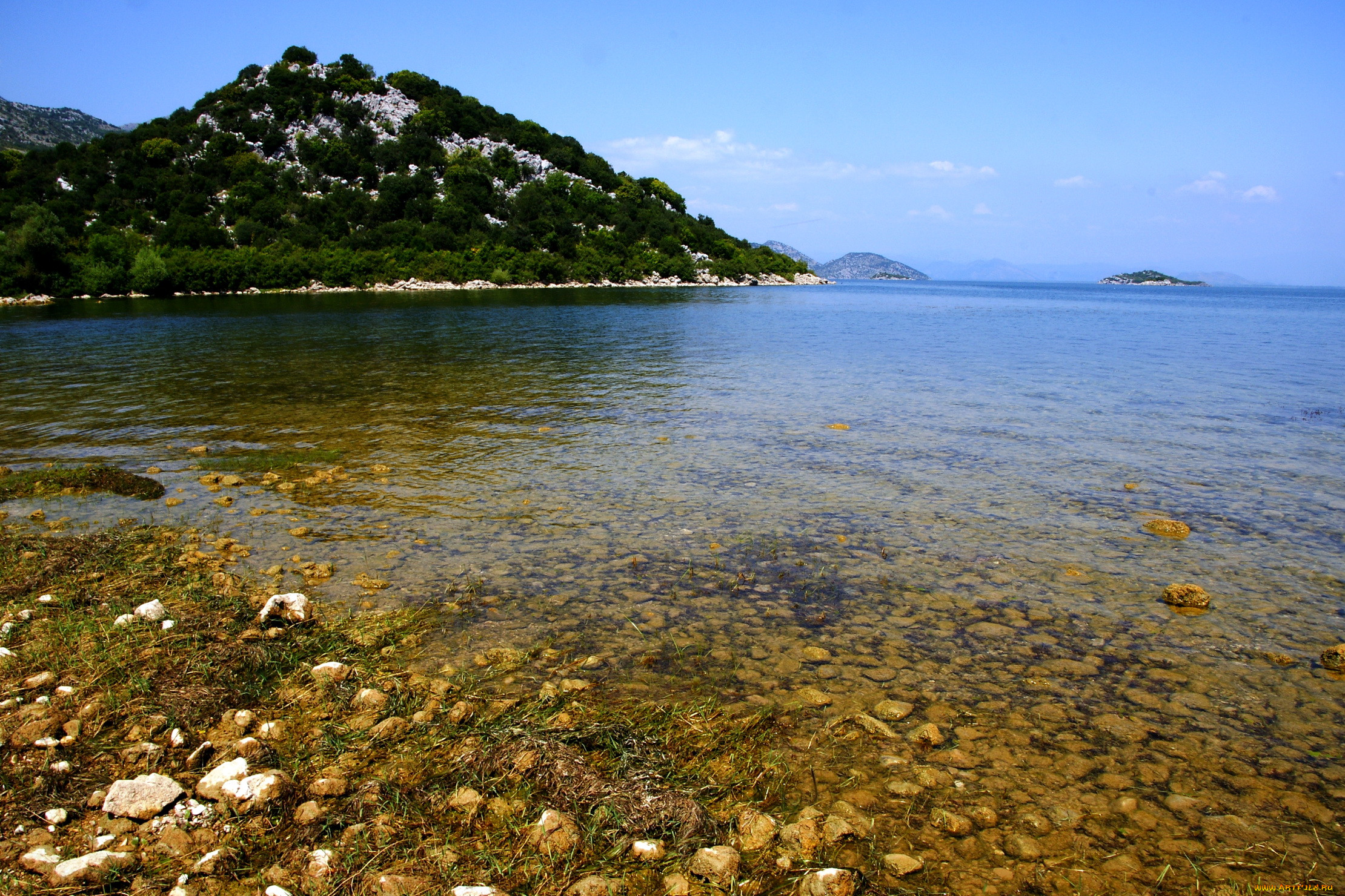 , , skadarsko, jezero, 